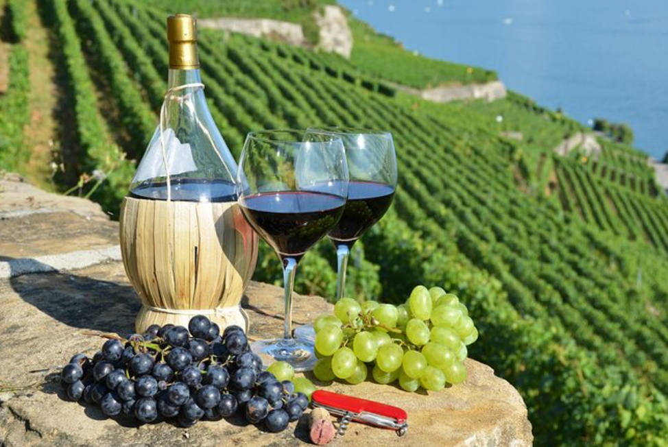 PELJEŠAC WINE EXPIRIENCE