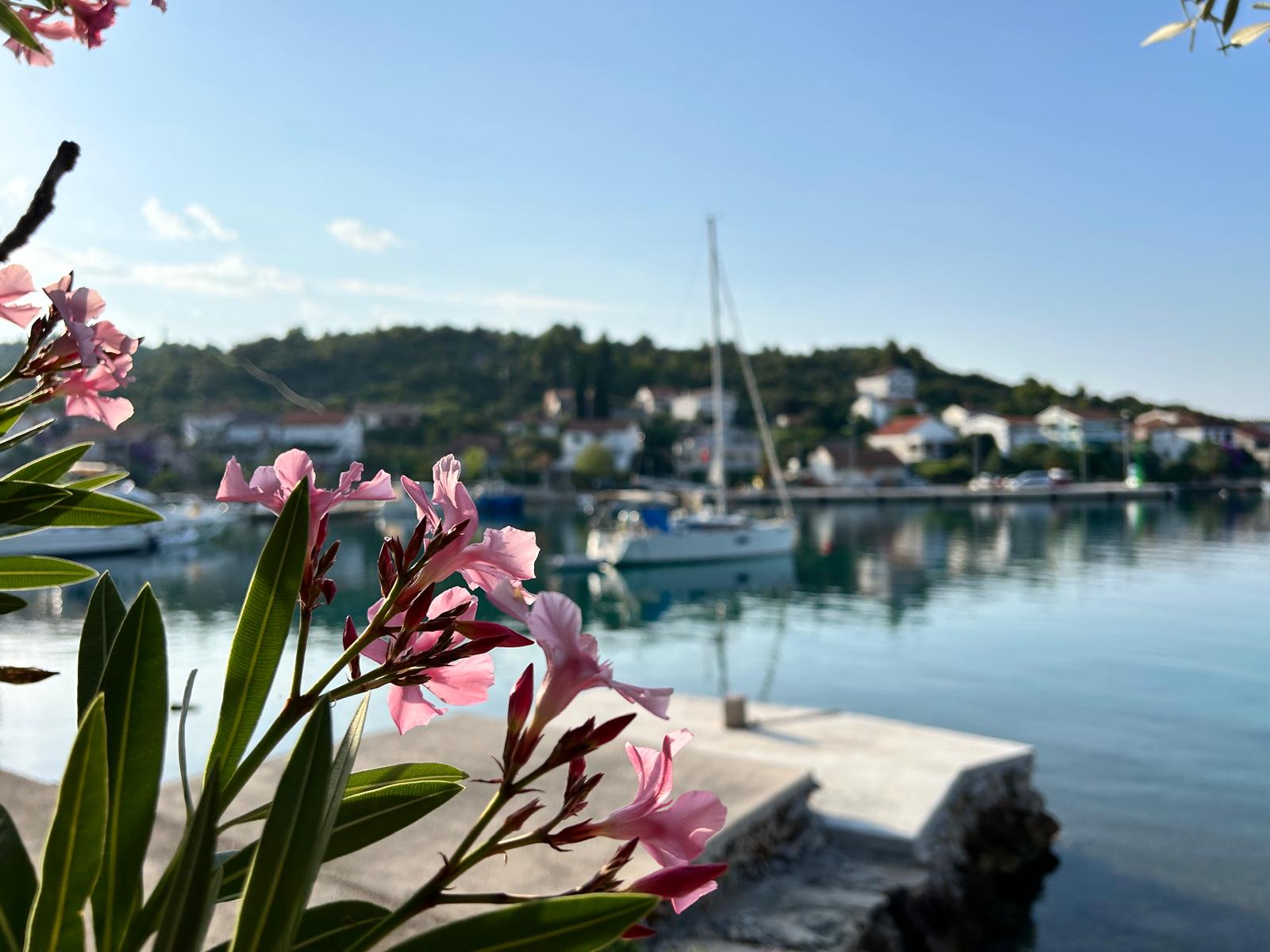 The Flavors of Islands Croatia